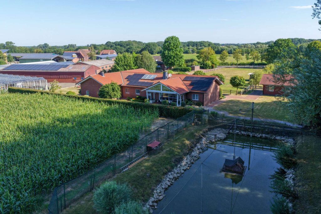 Luftaufnahme Einfamilienhaus